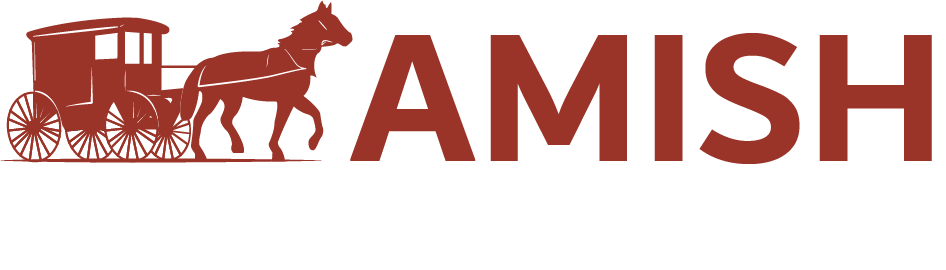 AMIS-LOGO-03